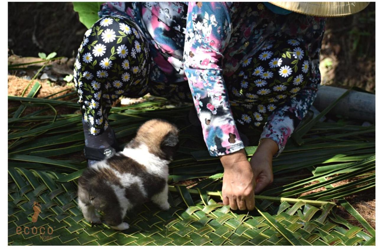 Ecoco Homestay Mekong Ben Tre Exteriör bild