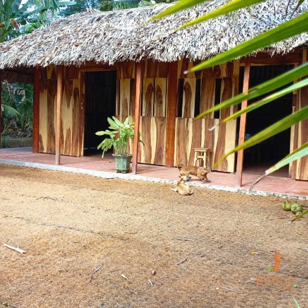 Ecoco Homestay Mekong Ben Tre Exteriör bild